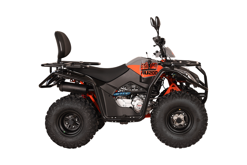K AU200 Bull